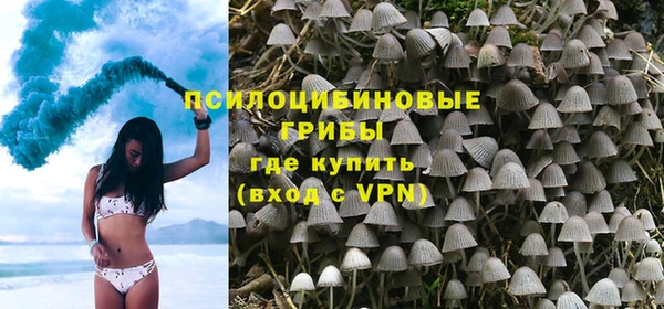 дурь Осташков