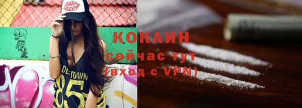 дурь Осташков