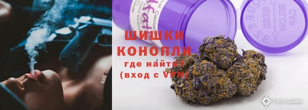 дурь Осташков