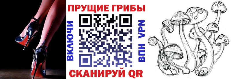 закладка  Спасск-Рязанский  Псилоцибиновые грибы мицелий 